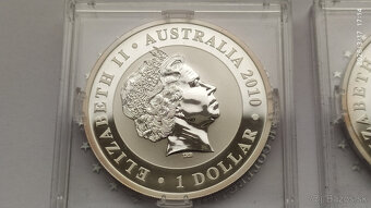 Koala 2010 a 2013 - 7