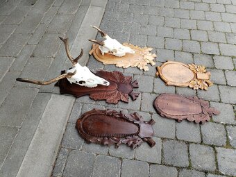 Podložky pod trofeje danielov - 7