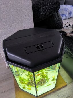 Predám 8 uhoľníkové zabehnuté akvárium 120 litrov - 7
