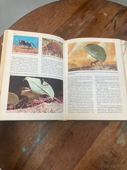 Svet živočíšnej ríše - 7