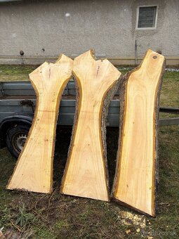 Orechové fošne - 7