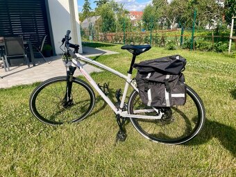 SPECIALIZED ARIEL - 7