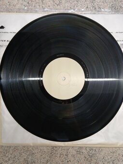 HVOB - Rocco - 7