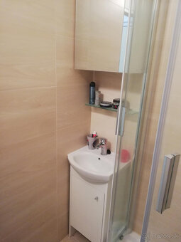 dam do prenajmu garsonku - 7