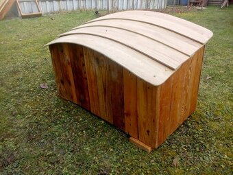 predam psiu budu - 7