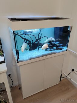 Komplet Akvárium Juwel RIO 125 so skrinkou - 7