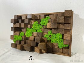 Machové obrazy - akustické difúzory - 7