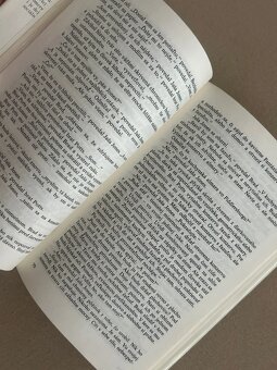 Potopa - Robert Penn Warren rok 1986 - 7