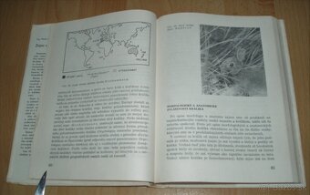 Zajac a králik - 7