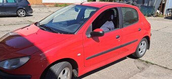 Peugeot 206 - 7