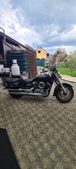 Yamaha dragstar 1100 - 7