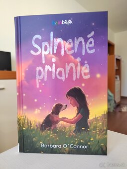 Splnené prianie - Barbara O Connor - NOVÁ - 7