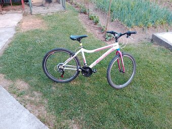 Bicykel - 7