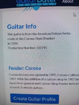 Fender Stratocaster DeLuxe USA 2006 - 7