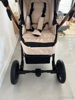 Bebetto Flavio Premium Stella 04 - 7