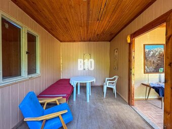 Vinica na skok od Nitry + chata - 590 m2 - 7