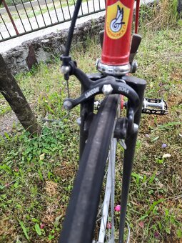 Favorit  F1 special, Campagnolo - 7