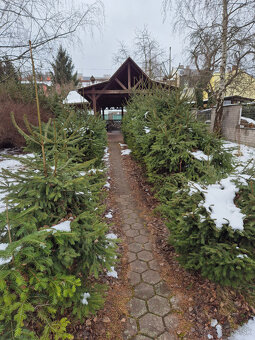 Nehnuteľnosť v centre Ružomberka na predaj - 7