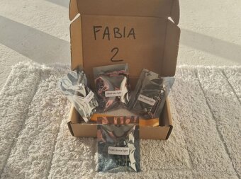 LED osvetlenie interieru pre ŠKODA - 7