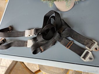 MORAVANY PASY SKODA 1000MB - 7