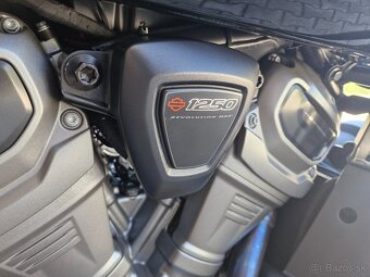 Harley Davidson Pan America - 7