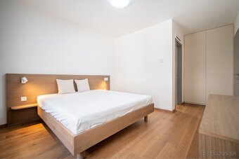 Prenájom 4-izbový byt 110 m², Vydrica, Staré Mesto, BA - 7