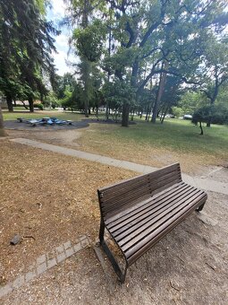 Od 1.8.2025, 2 izb., zariadený, zrekinštruovaný, Czambelova - 7
