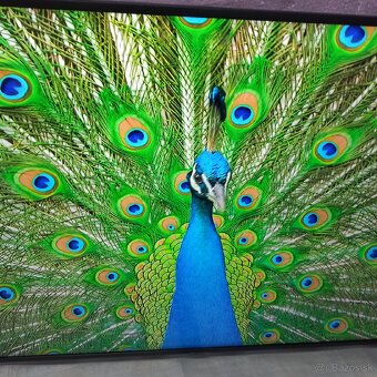 Samsung 4k led lcd tv 50 (127cm) smart - 7