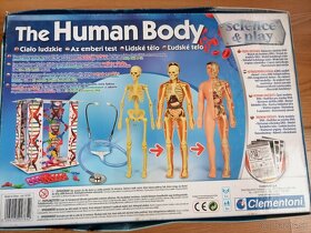 Ľudské telo s fonendoskopom - 7