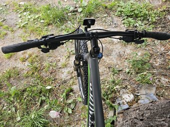 Specialized Rockhopper Comp M ,,29" - 7