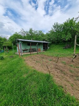 Na predaj vinohrad v meste Skalica - lokalita Žobráky - 7