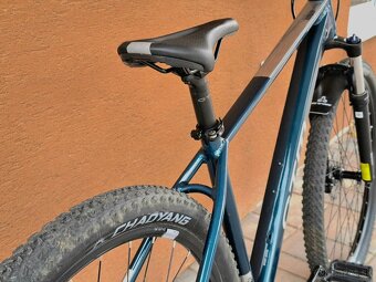 2025 CTM Rambler 2  (L-29") - 7