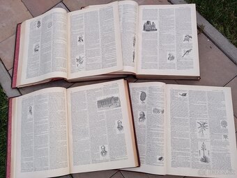 Krásna starožitná encyklopédia: Kožená - 7