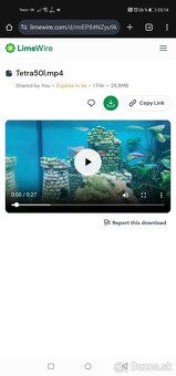 Komplet akvárium - Tetra 50L - 7