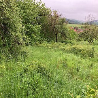 Pozemok Dobroč 2000 m2 - 7