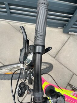 Ruzovo zlty bicykel - 7