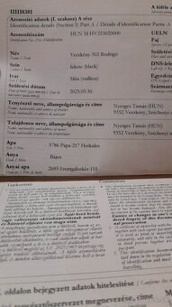 Predam ťaznu zrebec - 7