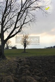 HALO reality - Predaj, rodinný dom Radošina, Bzince - 7