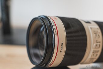 Canon EF 70-200mm f/2.8L IS II USM - 7