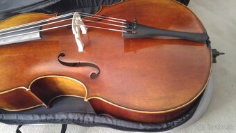 Violončelo - 7