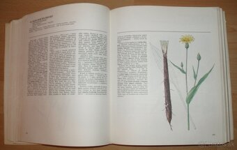Atlas Liečivých rastlín a lesných plodov - 7