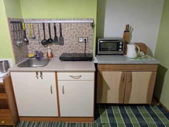 Large refurbished 1-bedroom apartment - 7
