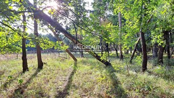 HALO reality - Predaj, pozemok 5643 m2 Borský Svätý Jur, T - 7