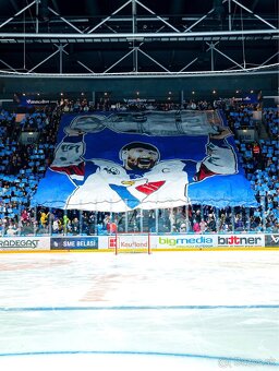 ❗️Apple iPhone 16e 128GB White |1,5 rok záruka| - 7