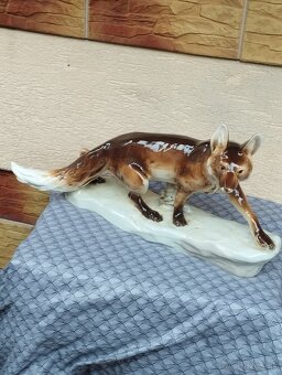 Royal dux líška - 7