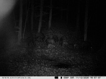 Fotopasca Wettar 7310 2G - 7