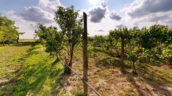 Na predaj rodinný dom s veľkým pozemkom 1722 m² – Močenok - 7