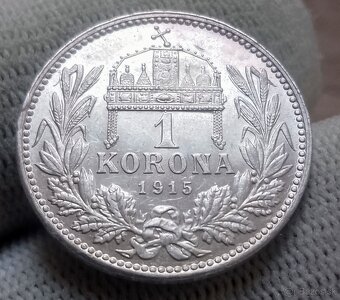 Strieborné koruny RU FJI. - 7