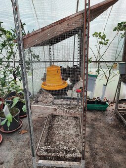 Klietka / voliera - 7