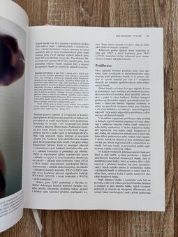 Anatomia Čihák 1,2 - 7